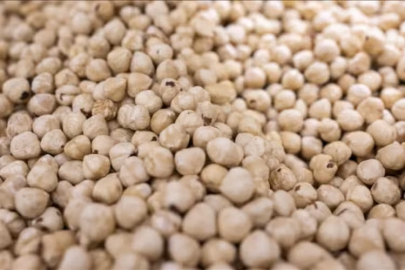 Türkiye fındıktan 5 ayda servet kazandı