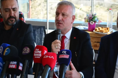 Cumhurbaşkanı Başdanışmanı Saral'dan "Epstein" yorumu: Bu bir insanlık meselesi