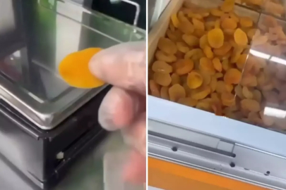 Kayısının kilo fiyatı da tane fiyatı da ağızları açık bıraktı