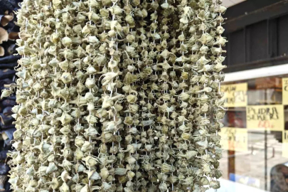 Ramazan'ın gözdesi bamya tezgahlarda