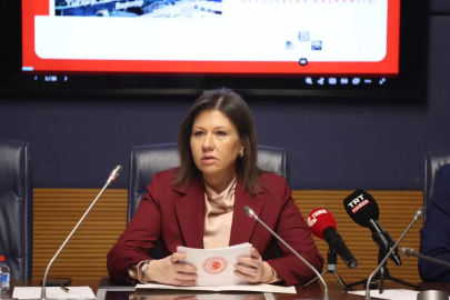 Yurtdışı Türkler ve Akraba Topluluklar Alt Komisyonu toplandı