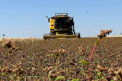 94,3 milyon liralık tarımsal destekleme ödemesi bugün yapılacak