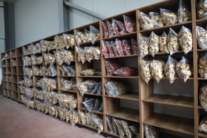 İnegöl’de Tarımın Geleceği İnşa Ediliyor