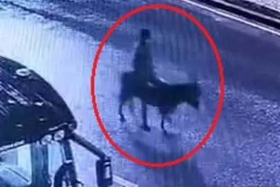 Kayseri'de forkliftle kuyumcu soyan şahıs eşekle kaçtı