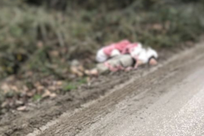 TIR’la getirilip, köye bırakılan düzensiz göçmenler yakalandı; 1 göçmen hipotermiden öldü