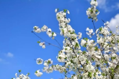 Cemre ne zaman düşecek? Birinci, ikinci ve üçüncü cemre ne zaman nereye düşecek? Cemre havaya, suya ve toprağa hangi tarihlerde düşer?