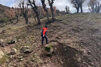 Diyarbakır'da kaybolan 84 yaşındaki zihinsel engelliyi arama çalışmaları sürüyor