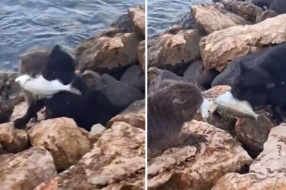 İkisi de mücadeleyi bırakmadı