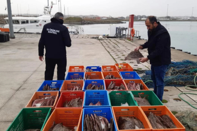 Kaçak avlanan 850 kilo kalkan balığına el konuldu