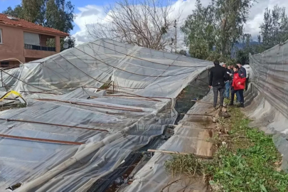 Fethiye'de rüzgardan zarar gören alanlarda hasar tespit çalışması başlatıldı