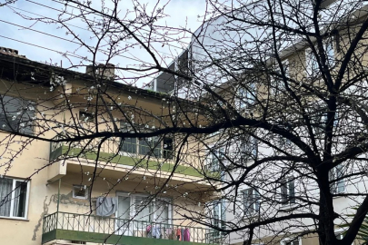 Bursa'da şubat güneşi doğayı yanılttı! Bazı ağaçlar çiçek açtı