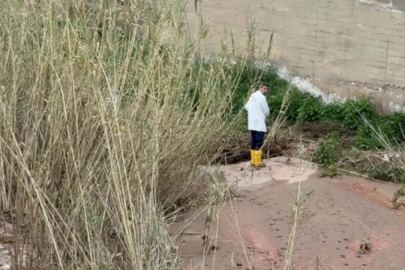 Aydın'da yaşlı çift evlerinde ölü bulunmuştu! Katil zanlısı hurdacı çıktı...