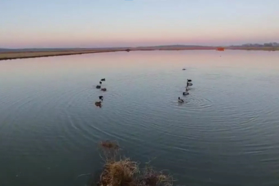 Edirne'de yasa dışı avlanan 4 avcıya 762 bin lira ceza