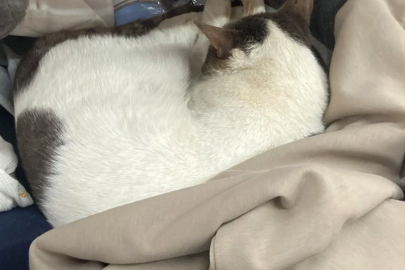 Zincir marketteki skandal görüntülerin ardı arkası kesilmiyor