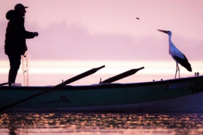 Bursa'nın dünyaca ünlü köyünde ilk yuva doldu!