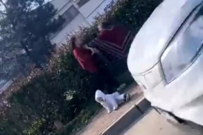 Dilenci kadınların kavgası kamerada: Kucağındaki bebek yere düştü