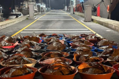 Denizin ortasında tonlarca ele geçirildi: Kova kova kıyıya taşındı
