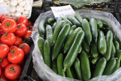 Muğla'da salatalık rekor fiyata ulaştı! Sebebi ise...