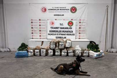 Ağrı'da Gürbulak Sınır Kapısı'nda 51 kilo 520 gram esrar ele geçirildi