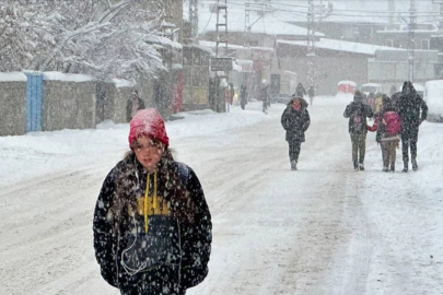 Van'da okullara kar tatili