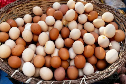 Yumurta satışında yeni dönem: Üst sınır getirildi!