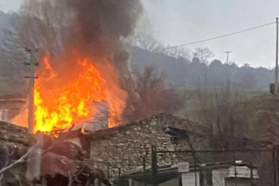 Bursa'da yaşlı çift alevlerin arasında can verdi!