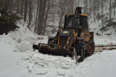 Bursa ormanlarında yoğun mesai! Kar seferberliği başladı