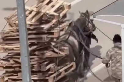 Bursa'da pes dedirten görüntüler! At arabasına kat kat palet yüklediler