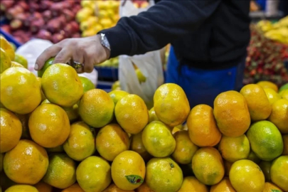 Tarım ve gıda sektörüne ocak ayı ihracatı: 2,4 milyar dolar