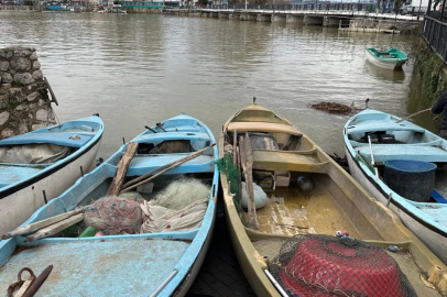 Bursa'da İsrail sazanı gelir oldu!