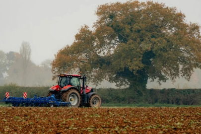 Bursa tarımında ilginç tablo! Satışlar fren yaptı...