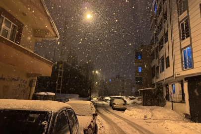 Ardahan'da kar yağışı etkili oldu