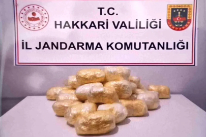 Hakkari'de tırda 15 kilo 263 gram metamfetamin ele geçirildi