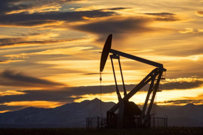 Birleşik Arap Emirlikleri 'stokçuluk' ve 'fahiş fiyatlarla' karşı karşıya