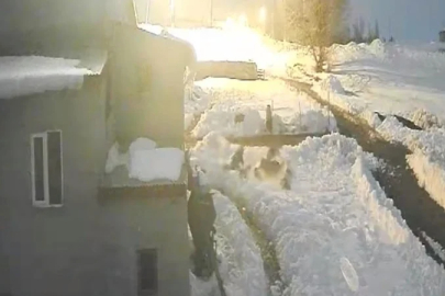 Kars'ta bir besici köpeklerine saldıran kurtları kürekle kovaladı