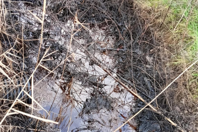 Bursa'da korkunç manzara! Kimyasal akıntı...