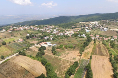 Bursa'da 'gelir getiren orman' hamlesi!