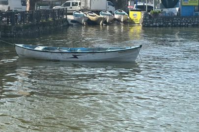 Bursa'dan güzel haber geldi! 10 yılın ardından bolluk başladı