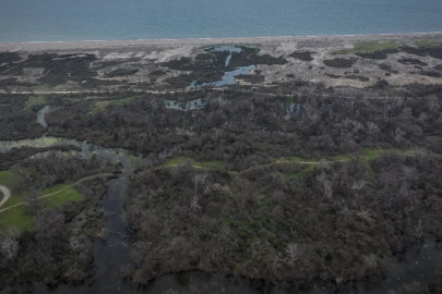 Bursa'nın longozunda tehlike henüz bitmedi!