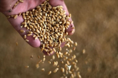 Tahıl grubuna Hürmüz Boğazı darbesi: Fiyatlar tavan yaptı