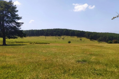 Bursa'daki şüpheli ölümde çarpıcı iddia!