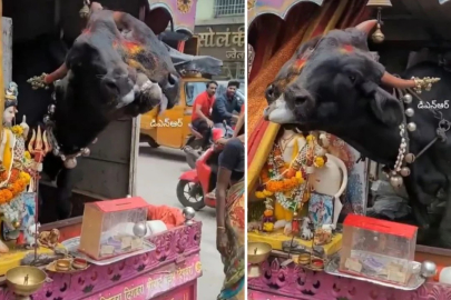 Genetik bozukluğu kazanç kapısı yaptı