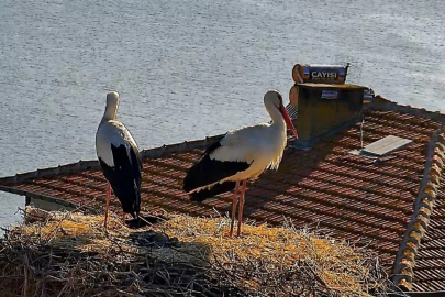 Ve mutlu son! Bursa'nın dünyaca ünlü çifti yeniden buluştu...