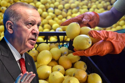 100 lirayı aşan limon fiyatlarına müdahale! Cumhurbaşkanı Erdoğan el attı