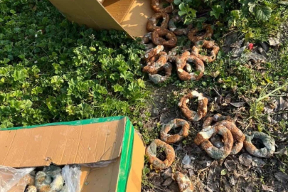 Bursa'da skandal görüntü!