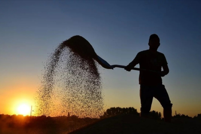 Çiftçiye müjde! 10,7 milyar lira bugün hesaplara yatıyor!