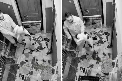 Kediyi darbedip apartmandan dışarı attı