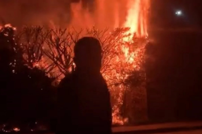 Bursa'da botanik parkta yangın!