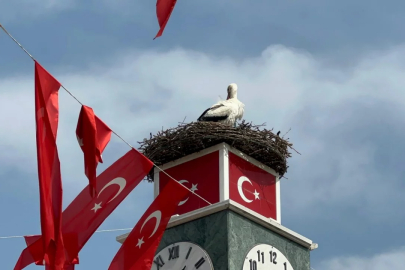 İznik'in Can leyleği geldi, gözler eşi Canan'da!