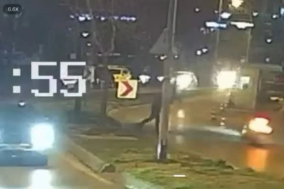 KARTAL'da motosiklet sürücüsü bekçinin attığı cisim sonucu ağaca çarptı